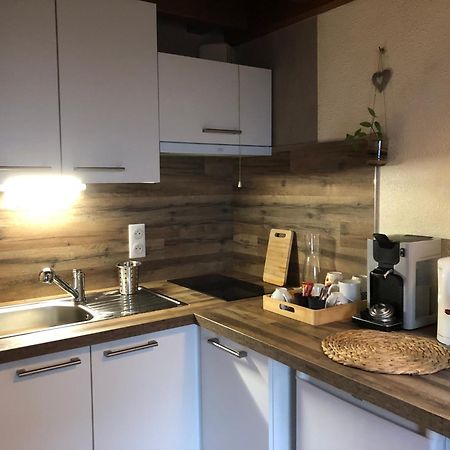 Duplex - Proche De Gerardmer Le Tholy Kültér fotó