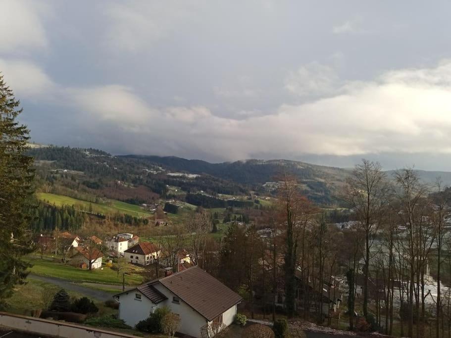 Duplex - Proche De Gerardmer Le Tholy Kültér fotó