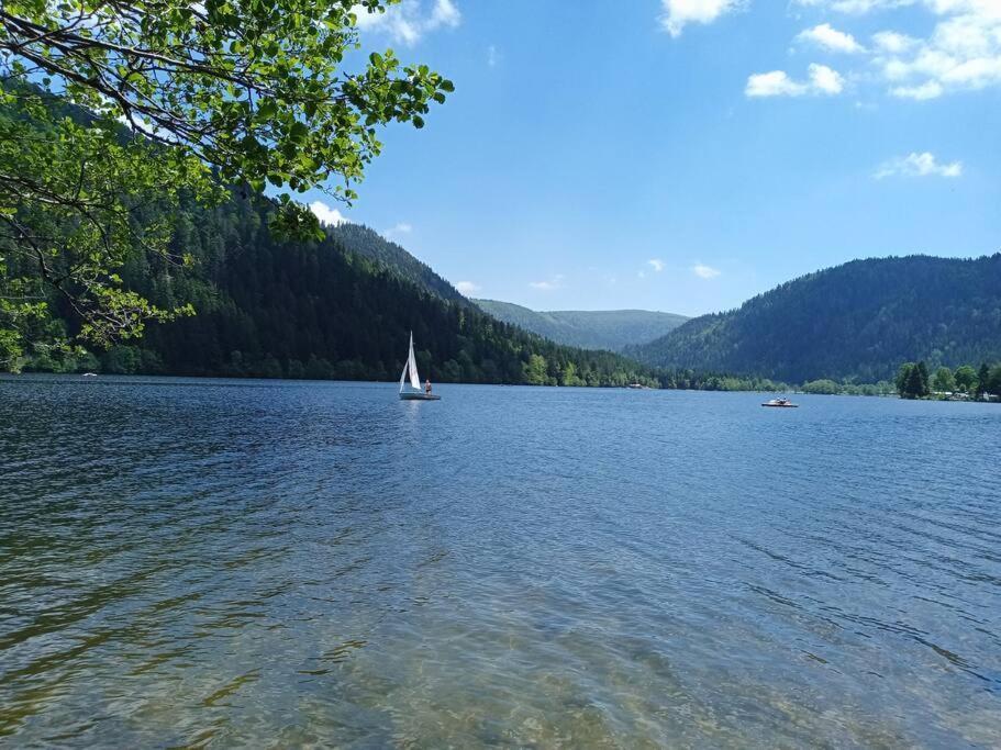 Duplex - Proche De Gerardmer Le Tholy Kültér fotó
