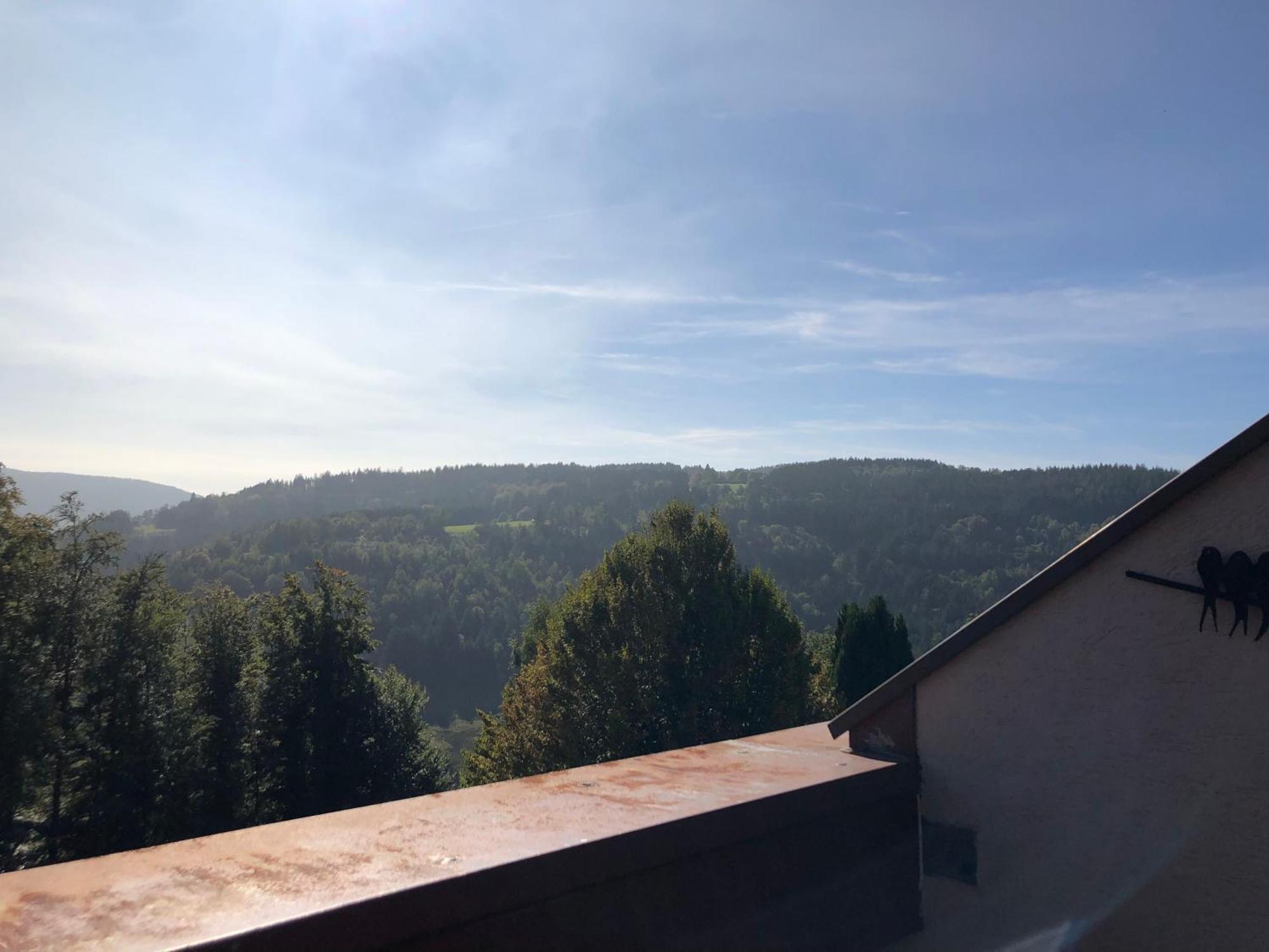 Duplex - Proche De Gerardmer Le Tholy Kültér fotó